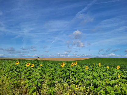 Gran Rondo ⚫🟡 Brabant-Wallon