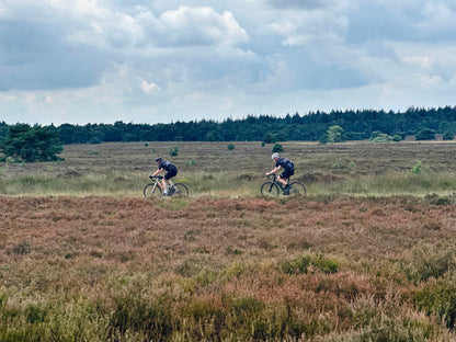 Gran Rondo 🟡🦌 Veluwe