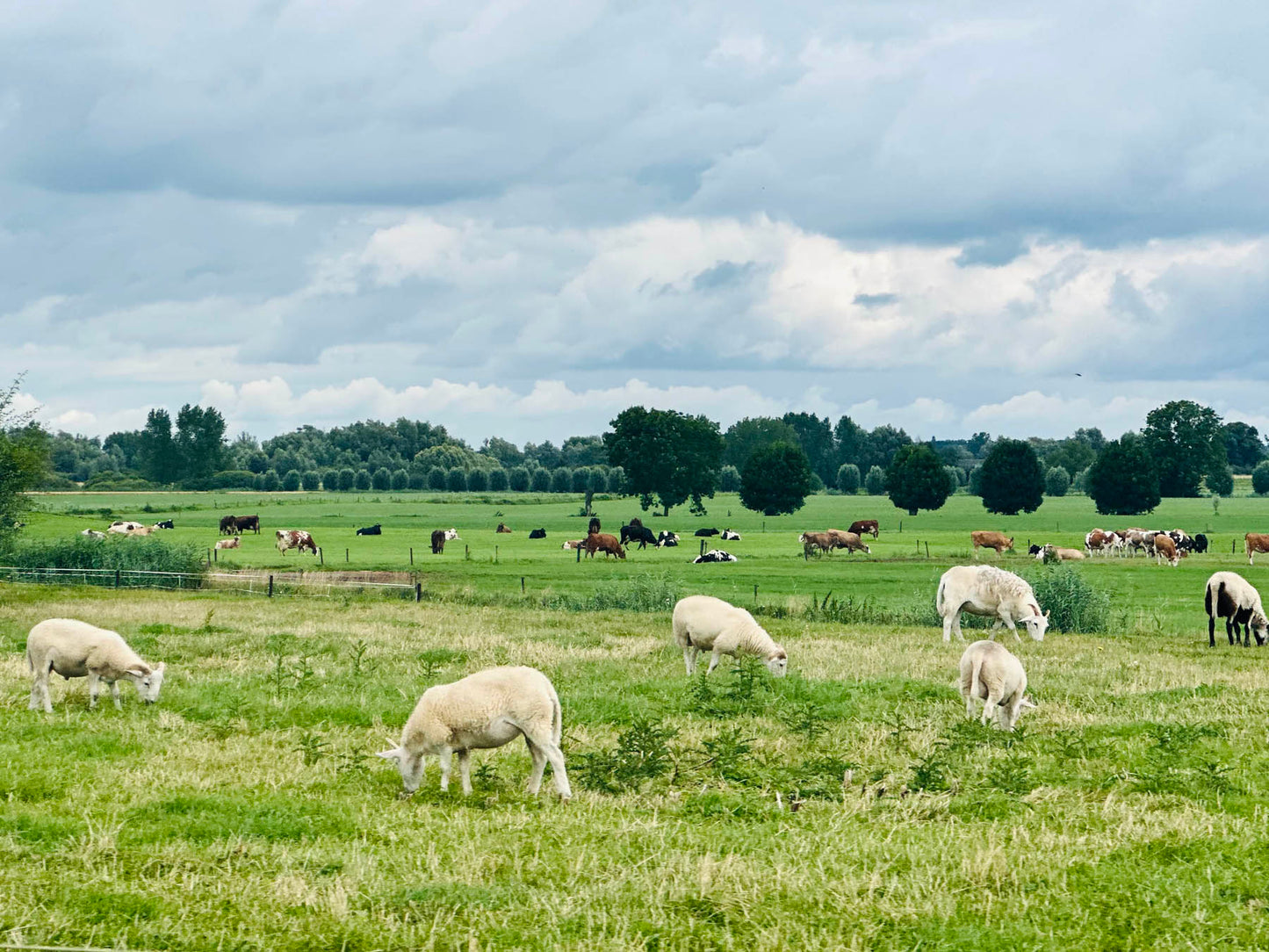 Gran Rondo NL 🟠🇳🇱 Longest Day(s) Challenge