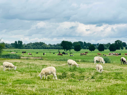 Gran Rondo NL 🟠🇳🇱 Longest Day(s) Challenge