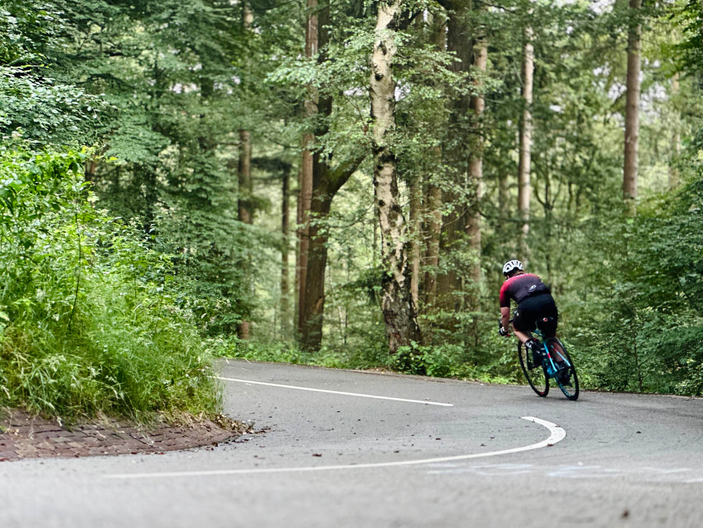 Gran Rondo 🟡🦌 Veluwe
