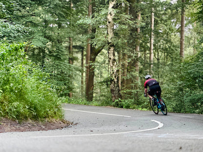 Gran Rondo 🟡🦌 Veluwe